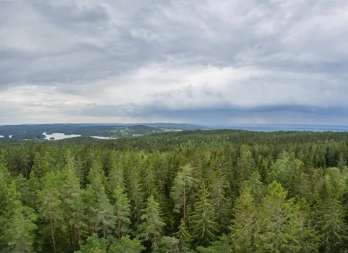 Framed Print : View of a Wooded landscape from Granna mountain in Sweden