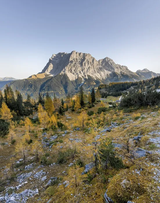 Framed Print : View of the Zugspitze, autumn colouring with yellow larches Framed Print : View of the Zugspitze, autumn colouring with yellow larches