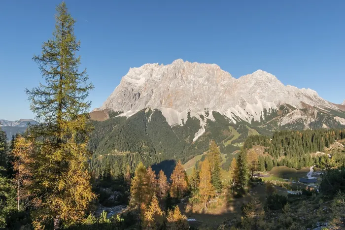 Framed Print : View of the Zugspitze, autumn colouring with yellow larches Framed Print : View of the Zugspitze, autumn colouring with yellow larches