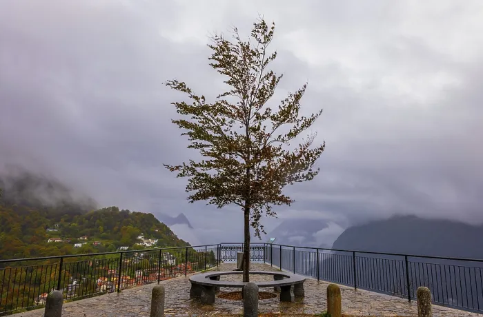 Framed Print : Viewpoint over Mountainscape and Alpine Village Bre with Autumn Tree in a Cloudy Day in Monte Bre Framed Print : Viewpoint over Mountainscape and Alpine Village Bre with Autumn Tree in a Cloudy Day in Monte Bre