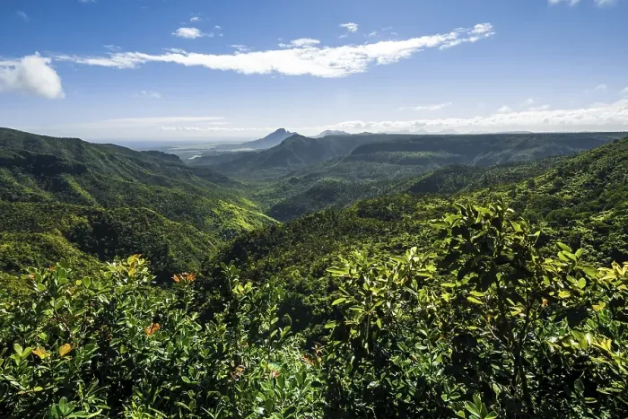 Framed Print : Viewpoint, view over forested mountain landscape