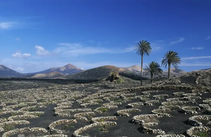 Framed Print : Vineyard on the volcanic mountains by Uga in Lanzarote