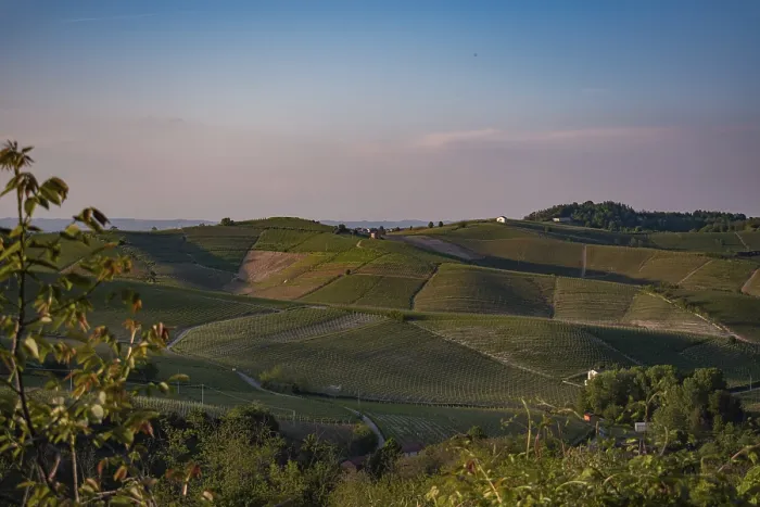 Framed Print : Vineyards with hilly landscape and houses under a calm blue sky