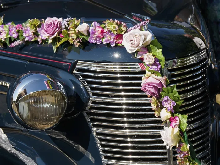 Framed Print : Vintage car with flowery decoration and shiny chrome grille Framed Print : Vintage car with flowery decoration and shiny chrome grille