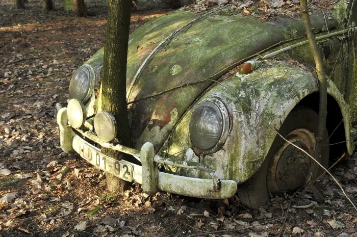 Framed Print : Vintage VW Beetle standing in a forest