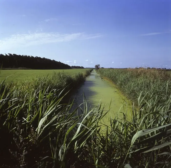 Framed Print : The visit to the landscapes on Ruegen