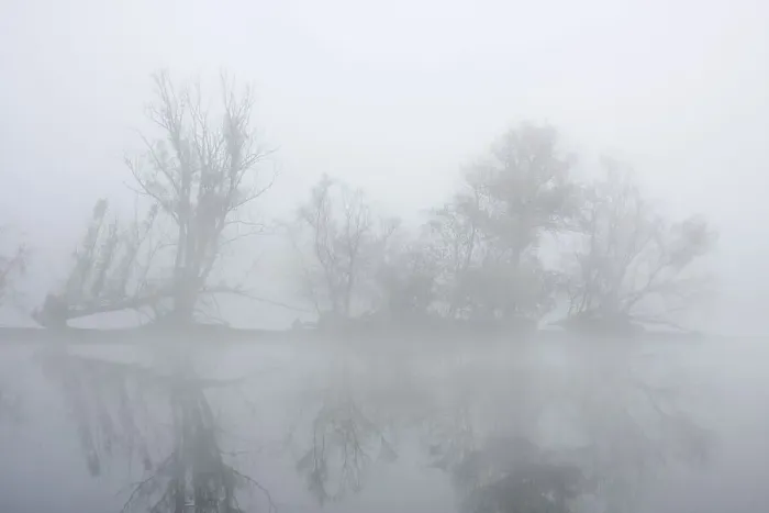 Framed Print : Vogelinsel Island surrounded by fog