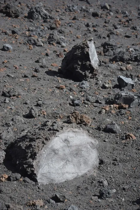 Framed Print : Volcanic bomb, bomb, volcanism