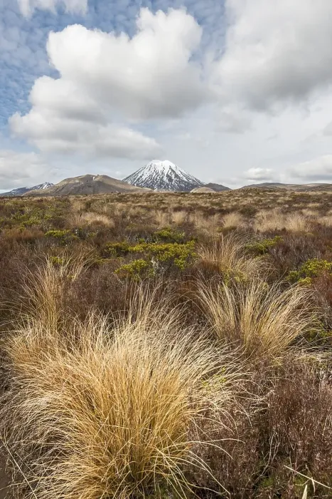 Framed Print : Volcano Mount Tongariro and Mount Ngauruhoe Framed Print : Volcano Mount Tongariro and Mount Ngauruhoe