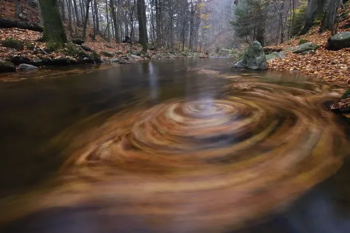 Framed Print : Vortex of leaves in the mountain creek Ilse