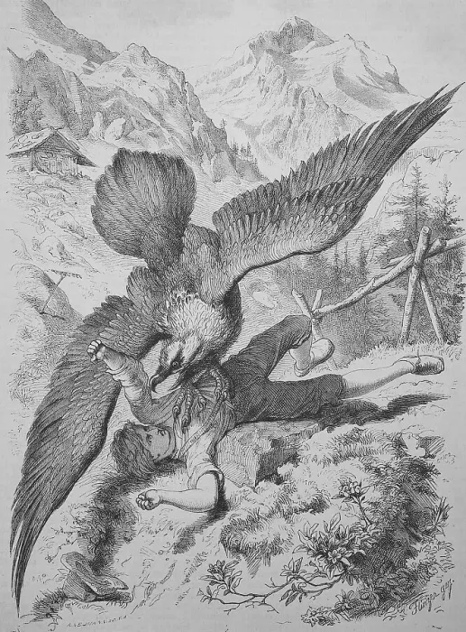 Framed Print : A vulture attacks a boy, historical illustration of animal life in the alpine world