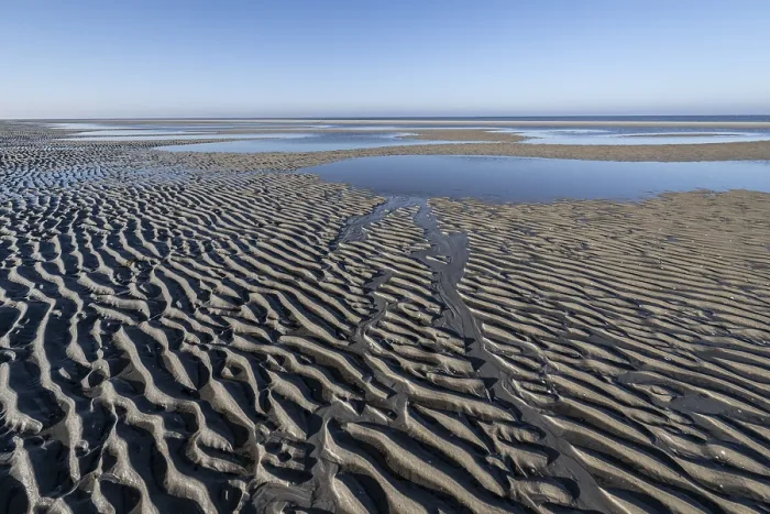 Framed Print : Wadden Sea, Amrum, Schleswig-Holstein, Germany