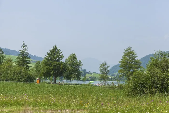 Framed Print : Walchsee and mountains, Walchsee Framed Print : Walchsee and mountains, Walchsee