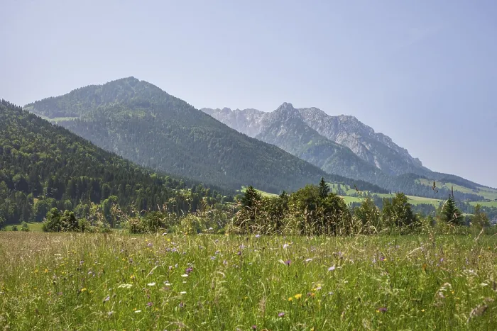 Framed Print : Walchsee and Zahmer Kiaser mountain range
