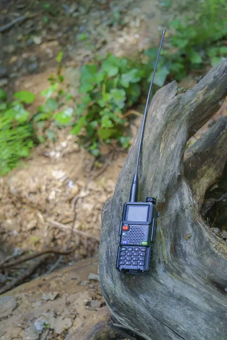 Framed Print : Walkie-talkie lying on a log in a green forest