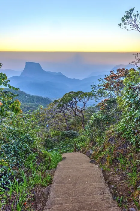 Framed Print : Walking path from Adams peak at sunrise, Sri Lanka