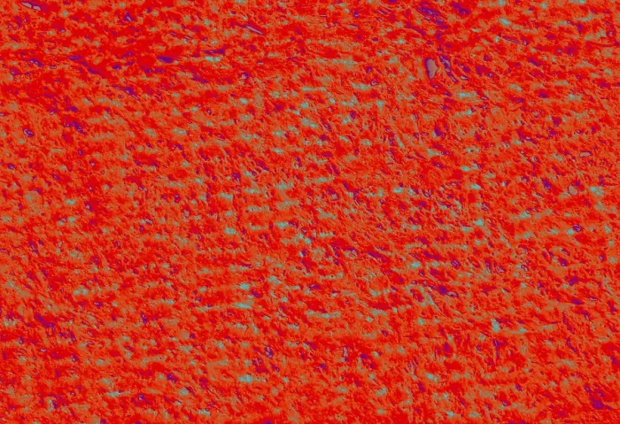 Framed Print : Wall surface as a simple grunge background texture pattern Framed Print : Wall surface as a simple grunge background texture pattern