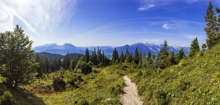Framed Print : Wanderweg durch einen Gebirgswald zum Gipfel des Taborberg mit Blick zum Tennengebirge und Gosaukamm