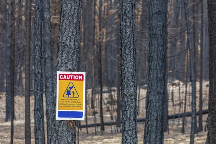 Framed Print : Warning sign and charred tree trunks in the aftermath of a forest fire Framed Print : Warning sign and charred tree trunks in the aftermath of a forest fire
