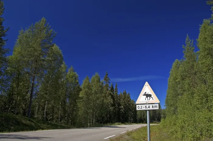Framed Print : Warning sign Moose crossing the roadway