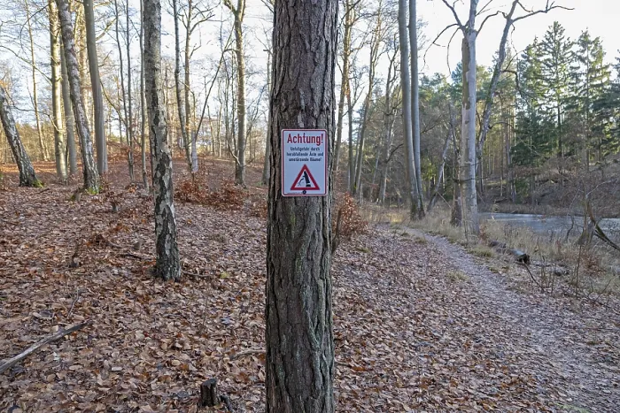 Framed Print : Warning sign warns of risk of accidents due to falling branches and falling trees Framed Print : Warning sign warns of risk of accidents due to falling branches and falling trees