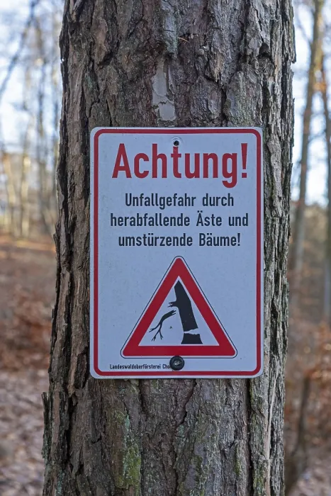Framed Print : Warning sign warns of risk of accidents due to falling branches and falling trees