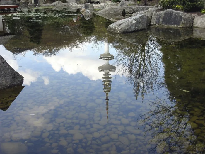 Framed Print : Water reflection in the pond Framed Print : Water reflection in the pond