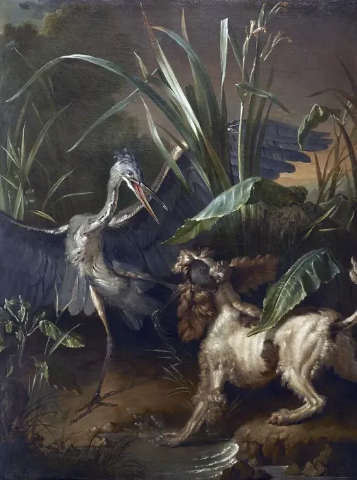 Framed Print : Water spaniel fighting a heron