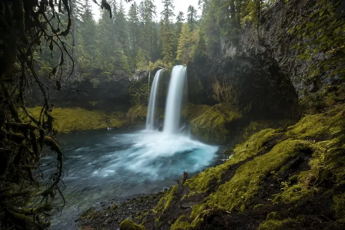 Framed Print : Waterfall in dense vegetation, Koosah Falls Framed Print : Waterfall in dense vegetation, Koosah Falls