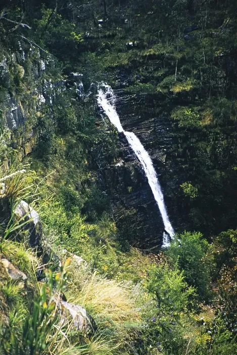 Framed Print : Waterfall in a forested area of the Grampians National Park, Victoria, Australia, 1956, probably Silverband Falls, Oceania Framed Print : Waterfall in a forested area of the Grampians National Park, Victoria, Australia, 1956, probably Silverband Falls, Oceania