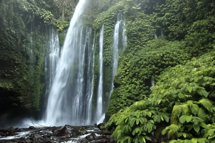 Framed Print : Waterfall in the jungle, Senaru Framed Print : Waterfall in the jungle, Senaru
