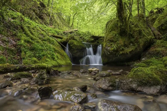 Framed Print : Waterfall in the UNESCO World Heritage Beech Forest in the Limestone Alps National Park