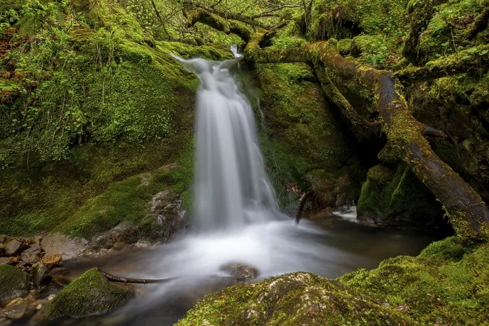 Framed Print : Waterfall in the UNESCO World Heritage Beech Forest in the Limestone Alps National Park