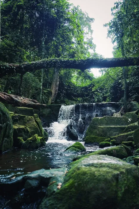 Framed Print : Waterfall in a verdant forest with rocks and lush greenery surrounding it Framed Print : Waterfall in a verdant forest with rocks and lush greenery surrounding it