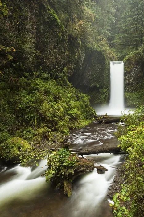 Framed Print : Waterfall Wiesendanger Falls in the Columbia River Gorge