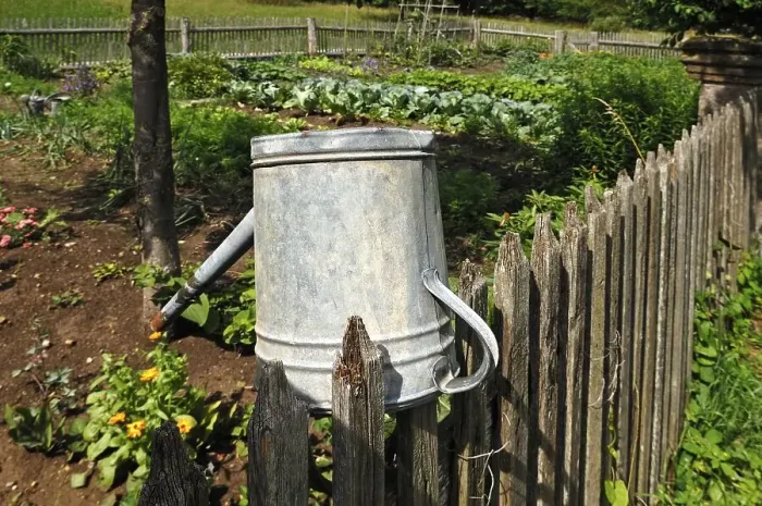 Framed Print : Watering can on a wooden fence near the farm garden