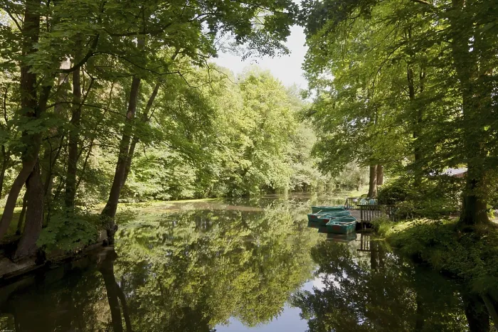 Framed Print : WaterReflections