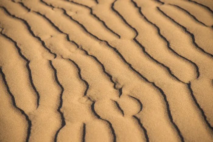 Framed Print : Wave pattern in the sand, Sossusvlei Framed Print : Wave pattern in the sand, Sossusvlei