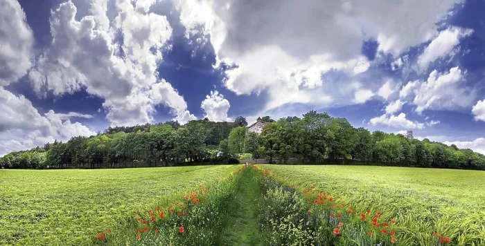 Framed Print : Way between barley fields, Eichstaett