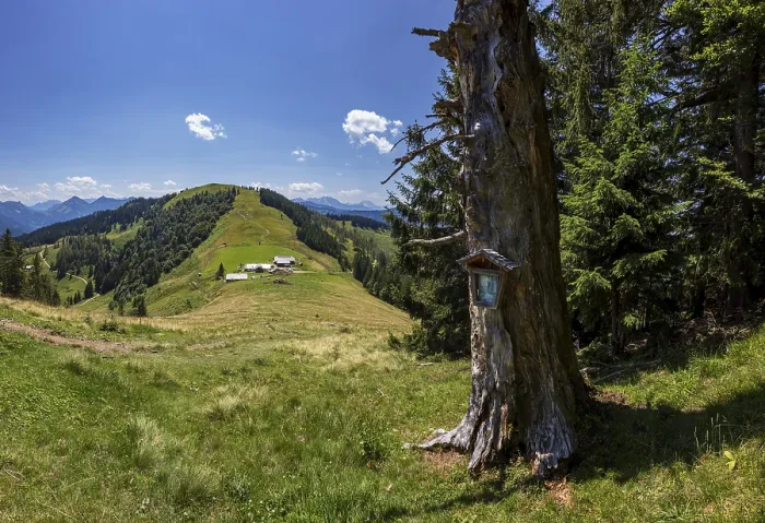Framed Print : Wayside shrine with view to Oberwiesalm and Loibersbacher Hoehe