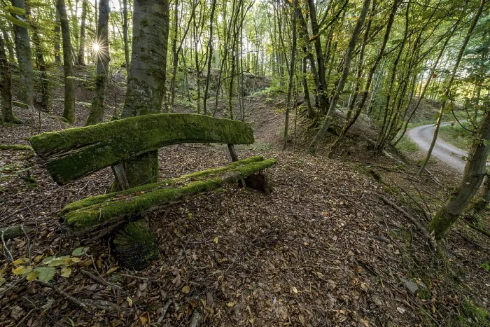 Framed Print : Weathered, rotten and mossy bench made of rough wooden planks Framed Print : Weathered, rotten and mossy bench made of rough wooden planks