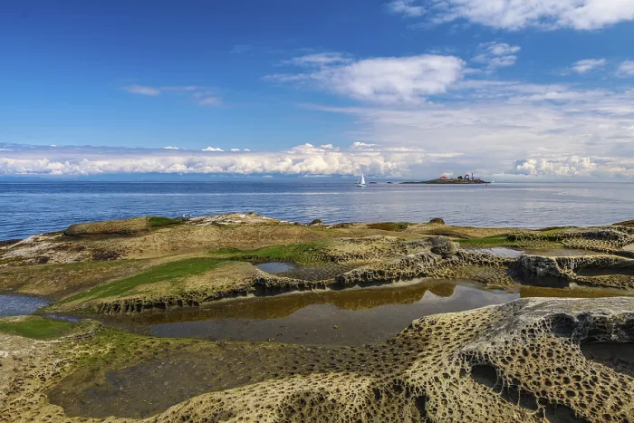 Framed Print : Weathered sandstone rock formations called tafoni on the shore of Gabriola Island