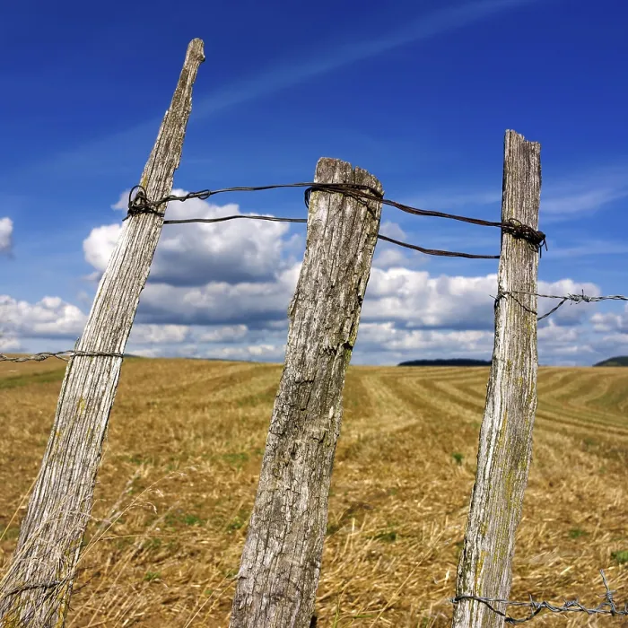 Framed Print : Three weathered wooden posts rise above a golden field Framed Print : Three weathered wooden posts rise above a golden field