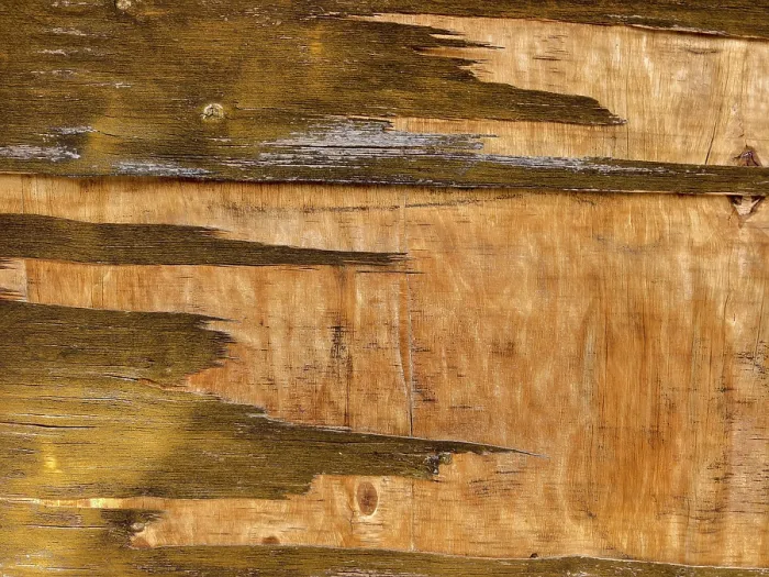 Framed Print : Weathered wooden surface with peeling paint Lower Austria Austria