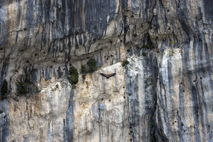 Framed Print : Weathering in the steep cliffs of the Verdon Gorge at the Belvedere de Trescaire bas