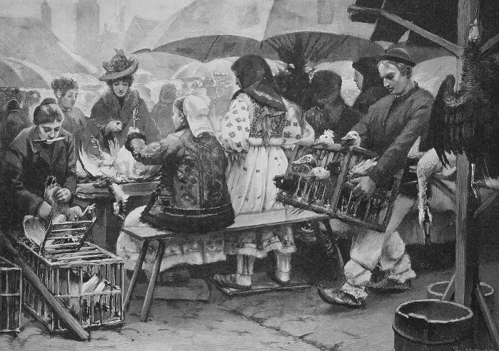 Framed Print : Weekly market in Agram, Zagreb