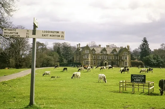 Framed Print : Weidende Rinder in Launde Abbey, Leicestershire, England, UK, August 1972