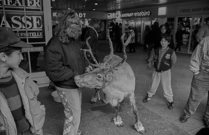 Framed Print : West Berlin, 4.2.1990, reindeer Framed Print : West Berlin, 4.2.1990, reindeer