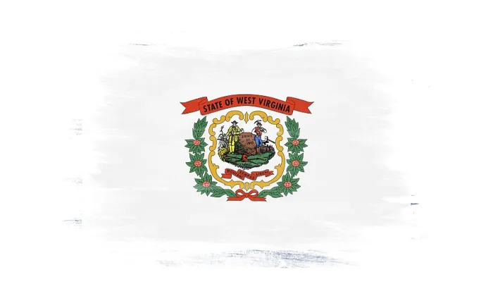 Framed Print : West Virginia state flag brush stroke