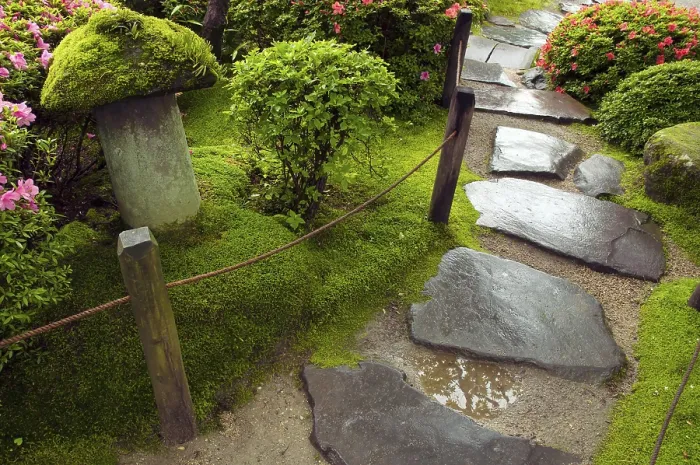 Framed Print : Wet stone steps among fresh green plants in Japanese zen garden Framed Print : Wet stone steps among fresh green plants in Japanese zen garden